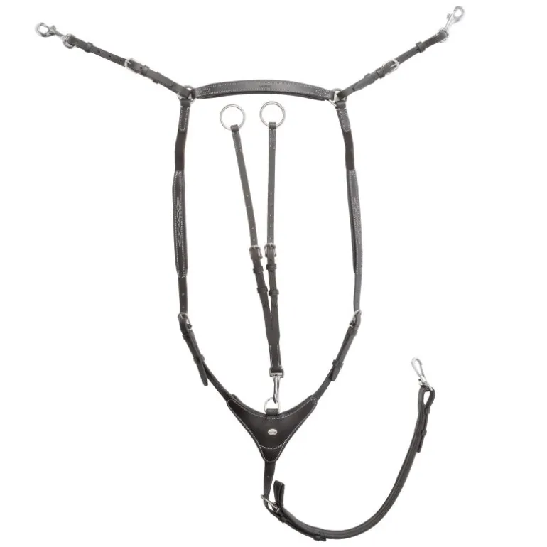 Vorderzeug "Dexter" 3-Pk. hoch mit Elast
