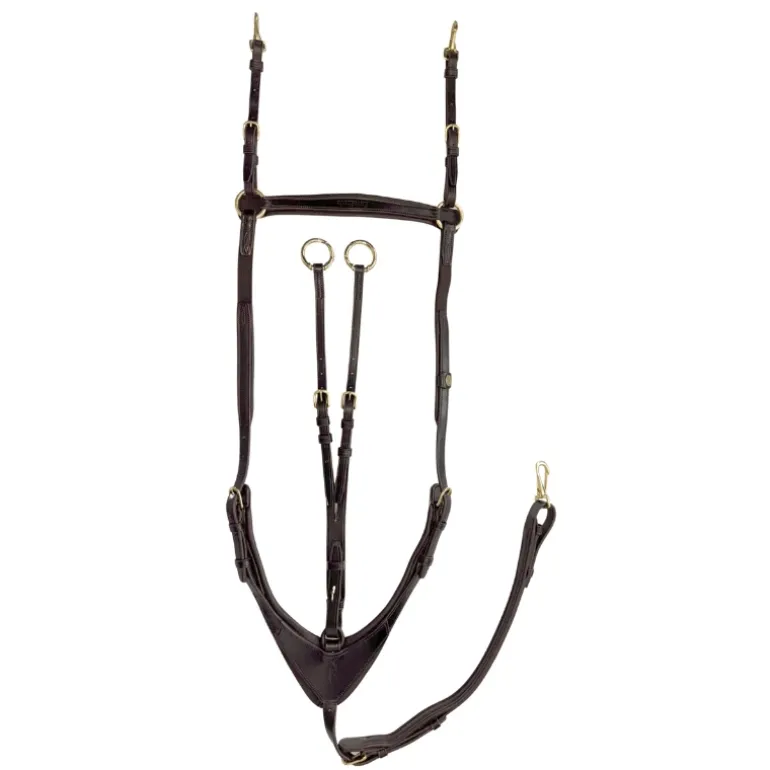 Vorderzeug "Robin" 3-Pk. mit Elast