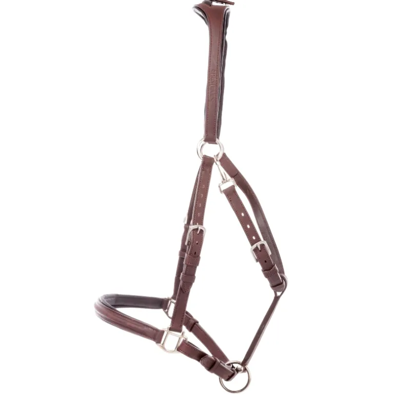 Wanderreittrense "Artemis"