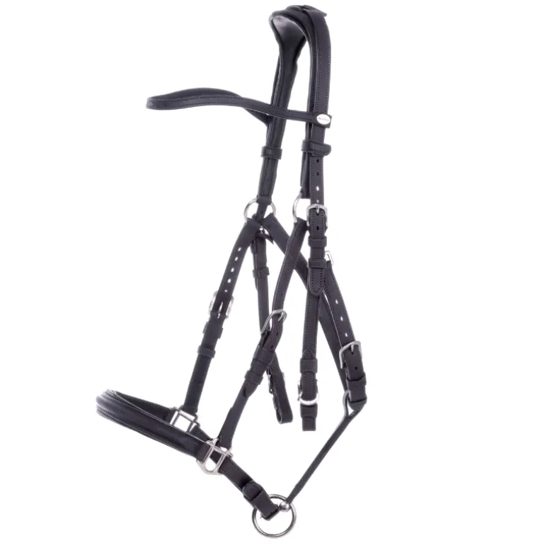 Wanderreittrense "Artemis"