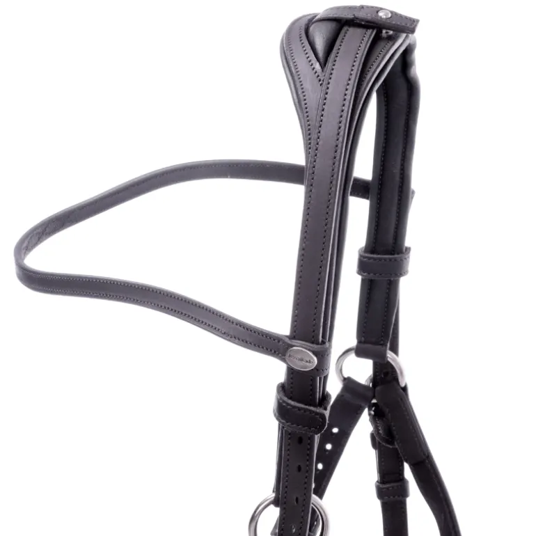 Wanderreittrense "Artemis"